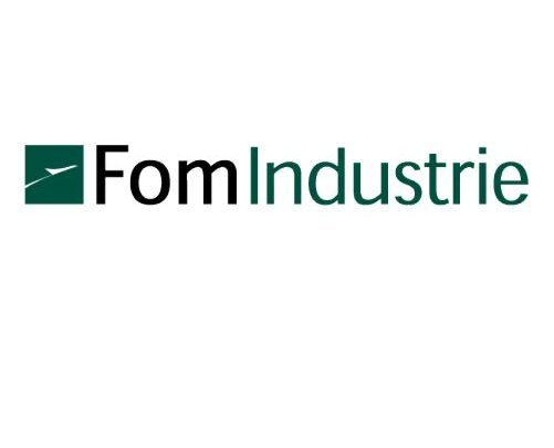 fom Industrie Việt Nam logo